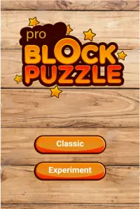 Block-puzzle pro Screen Shot 2