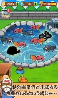 金魚コレクション - 金魚すくい無料ゲーム Screen Shot 5