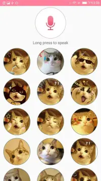 Human to Cat Translator Screen Shot 1