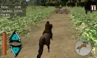Horse Jumping Master Screen Shot 6
