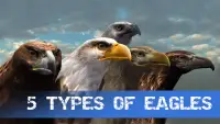 Eagle Hunting Journey Screen Shot 2