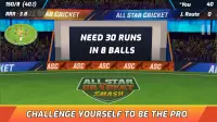 All Star Cricket Smash Screen Shot 2