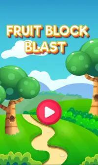 Fruit Block Blast Screen Shot 4
