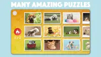 Dogs & Cats Puzzles for kids Screen Shot 1
