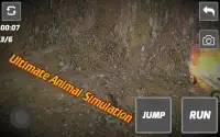 simulador de coelho selvagem Screen Shot 4