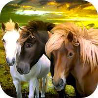 Familia del caballo: ¡Supervivencia de la fantasía