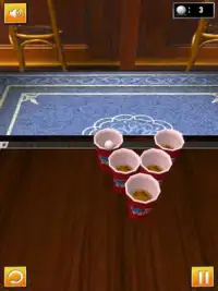 Flick Beer Pong Screen Shot 4