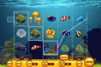 Gold Fish Slot Screen Shot 2