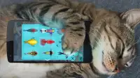 Game for a cat, Aquarium Screen Shot 2