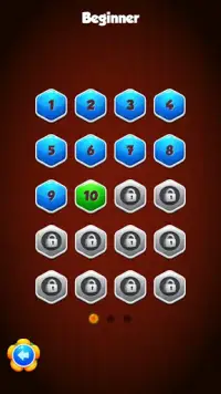 Hexa Jigsaw Puzzle Screen Shot 2