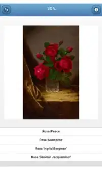 Varieties of roses - quiz Screen Shot 1