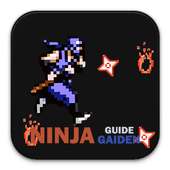 Guide Ninja Gaiden