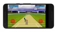 Cricket Mini Simulator Screen Shot 7