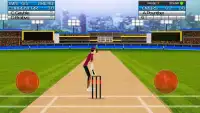 Cricket Stars Screen Shot 4