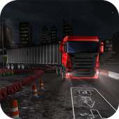 Night Truck Parking Driver 3D