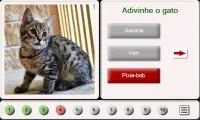 Adivinha O gato: Telha de Quebra-Cabeça Screen Shot 0