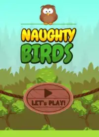 Naughty Birds Screen Shot 2