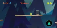 Cricket Ball : New Cricket Game Screen Shot 2
