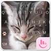 Cats Keyboard Theme