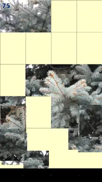 Puzzle Free Screen Shot 2