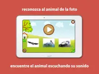 Sonidos de Animales para niños Screen Shot 22