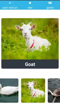 Animal Sounds Learn With Game Screen Shot 5