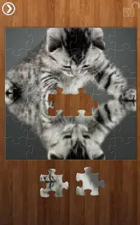 Riflessione Jigsaw Puzzles Screen Shot 2