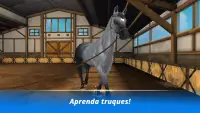 Horse Hotel - jogo de cavalo para amigos de cavalo Screen Shot 3