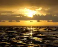 البحر الأصفر بانوراما الألغاز Screen Shot 3