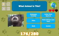 What's That Animal? Screen Shot 0