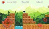 Super Sonic Jungle Run Screen Shot 2