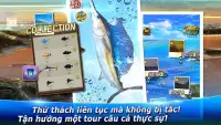 Tour câu cá : Chuyến đi câu cá vòng quanh thế giới Screen Shot 2