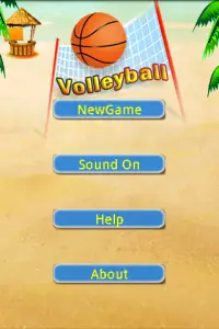 VolleyBall Screen Shot 1