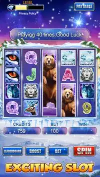Slot Machine: Bear Slots Screen Shot 1