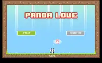 Panda Love Screen Shot 0