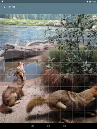 Puzzle: Zwierzęta Screen Shot 19
