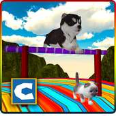 Трюки Cat собак Simulator 3D