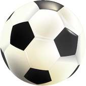Bouncing Soccer Ball