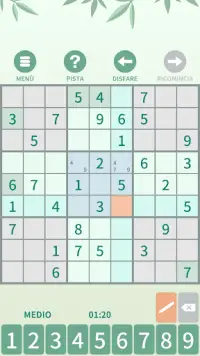 Sudoku. Puzzle di logica Screen Shot 0