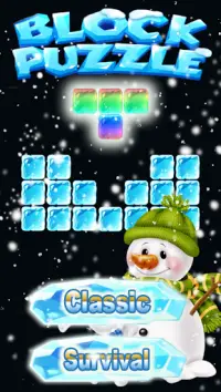 New Ice Block Puzzle Game 2020 Screen Shot 0