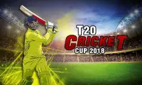 T20 Cricket Cup 2018 Screen Shot 0