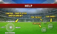 Real World Soccer Football 3D Screen Shot 2