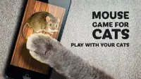 Mouse game toy for cats Screen Shot 0