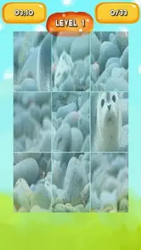 Seal Jigsaw Puzzles Screen Shot 3
