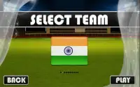 T20 Cricket World Cup Game Screen Shot 2