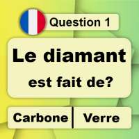30in1 Trivia Game: en français