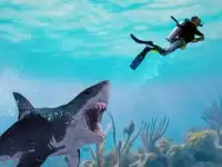 Shark Simulator Attack Screen Shot 1