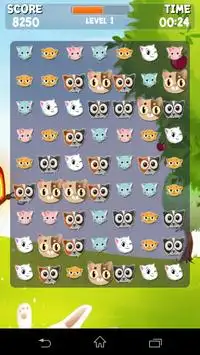 Lovely Kitty Crush :Game Match Screen Shot 0