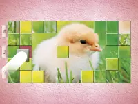Little Animal Puzzles - Drag & Swap Screen Shot 8