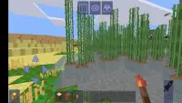 Mine World Craft Screen Shot 6